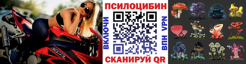 Псилоцибиновые грибы Magic Shrooms  Купить  Сухиничи 